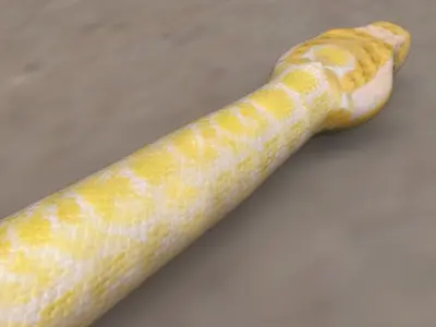 Python worm Low-poly 3D model