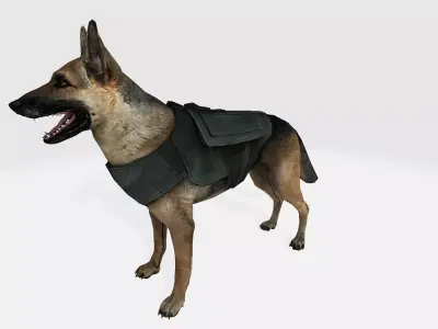 Dog 3d german shepherd wearing vest 3D model