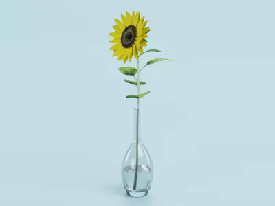 Sunflower in Glass Vase 3D model