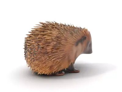Spiky Hedgehog model pack Low-poly 3D model