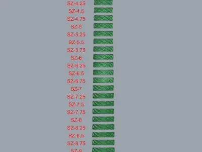 BRAIDED RING 21 SIZES pack  3D print model