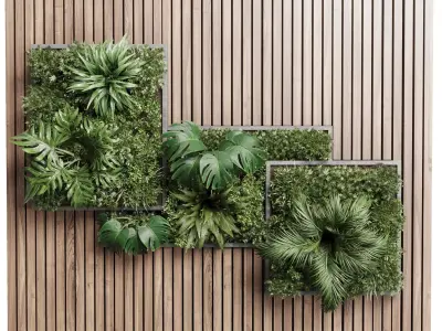 plants set partition in wooden frame Vertical graden 3D model