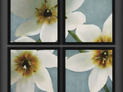 Collection of Picture Frames - 20 sets