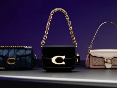 Luxury Handbags Collection 3D model