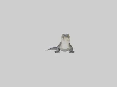 Slender-snouted crocodile Low-poly 3D model