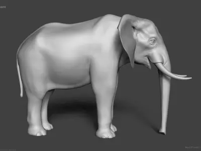 African Bush Elephant 3D model