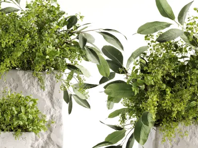 Plants Bouquets 3D model