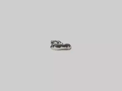 California King Snake slithering model Low-poly 3D model