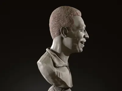 Pele 3D Bust for printing 3D print model