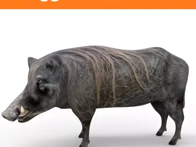 3d Wild Boar Rigged and Animated low poly Low-poly 3D model