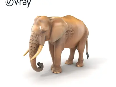 Elder Elephant Model Pack with Detailed Wrinkles Low-poly 3D model