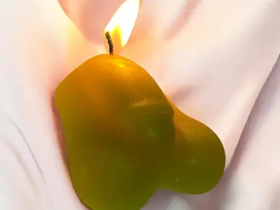 Mold anatomy penis 3D print model