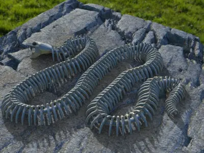 Giant Snake Skeleton  Low-poly 3D model