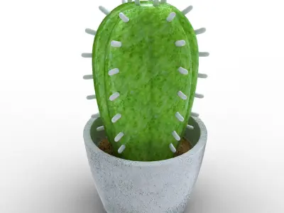 Potted Cactus 3D model