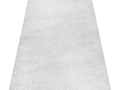 Rug Set 1308 3D model