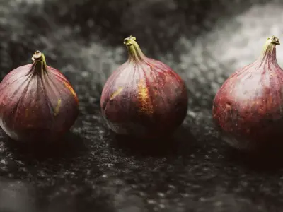 Fig Scan 4K 3D model