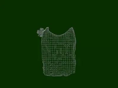 St Patrick Head Orange 3D Model 3D model