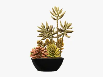 Potted plant decorative 06 3D model