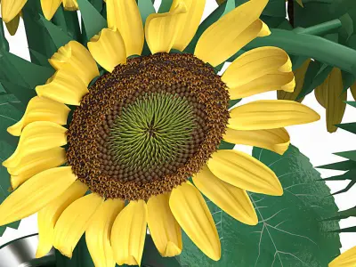 Rustic Bathroom Decor Set with Sunflowers 3D model