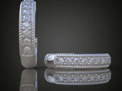 Exclusive Earrings model 3D printable model 0117-9ol 3D print model