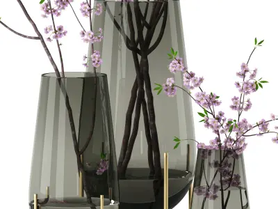 Cherry blossom in Echasse Vases 3D model