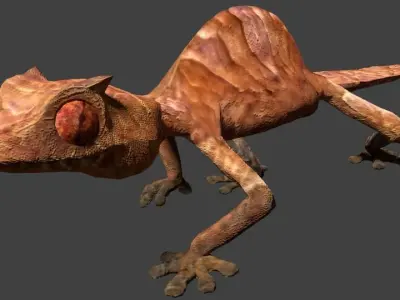 Satanic leaf gecko 3D model