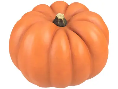 Photorealistic Mandarin Pumpkin 3D Scan 1 3D model