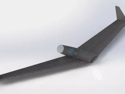 Flying Wing Free 3D model