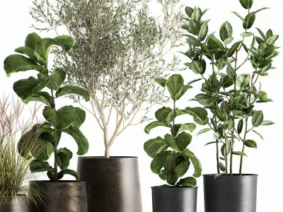 Houseplants in a flowerpot for the interior 1029 3D model