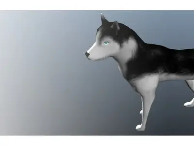 Dog Animation Low-poly 3D model