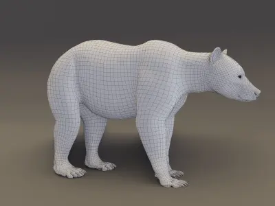 Brown Bear 3D model