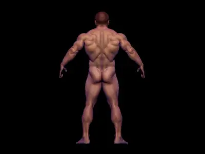 BODYBUILDER BSE MESH  Low-poly 3D model