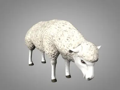 Sheep or Ram Low-poly 3D model
