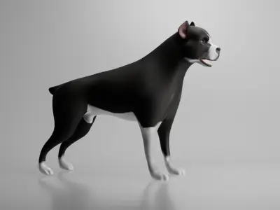 This is a model of a pit bull dog Low-poly 3D model
