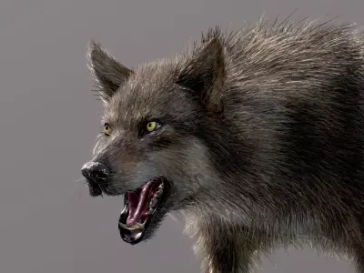  Eurasian Wolf 3D model