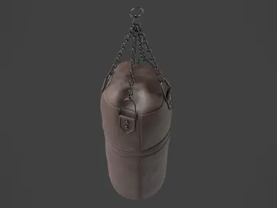 Punching Bag 5 3D model
