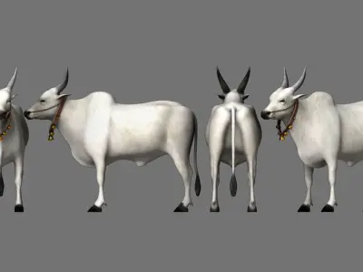 bull 3d model 3D model purchase