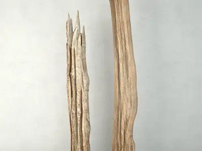 Natura Tall Root Wood 3D model