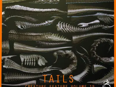 TAILS - 33 Tail Meshes and Curve Brushes 3D model