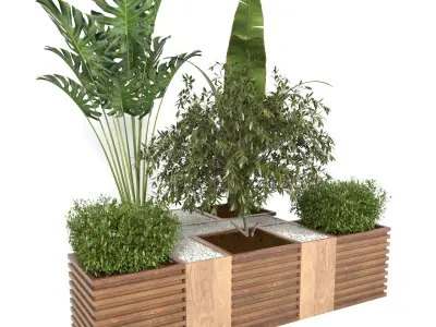 plants collection 18 3D model