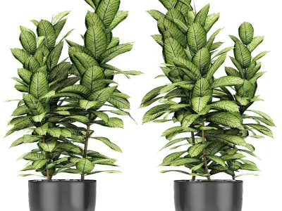 Plant in Pot Flowerpot Exotic Plant 3D model 2