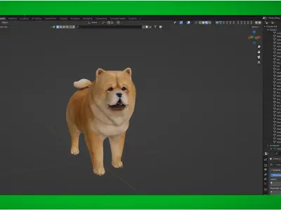 Chow Chow Dog Low-poly 3D model