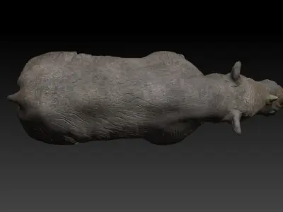 Rigged Rhino Low-poly 3D model
