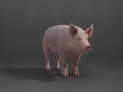 Male Pig with 7 Animations VFX Grace 3D model