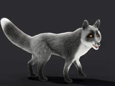 Fur Gray Fox Rigged Model Low-poly 3D model