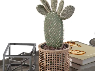 Coffee set 14 - tray pot cup books figurine plant pot  3D model