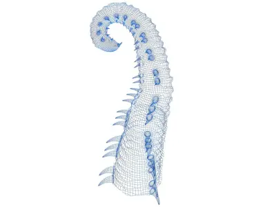 Worm tentacle 3D model
