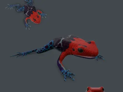 Dart frog Low-poly 3D model