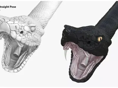 Realistic Black Snake 3D model