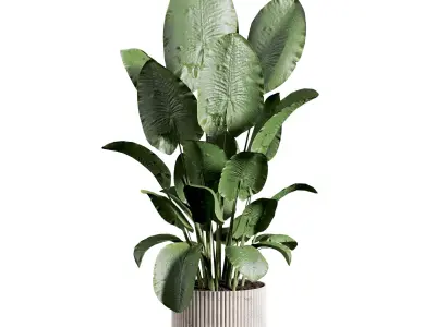 indoor plant 523 3D model